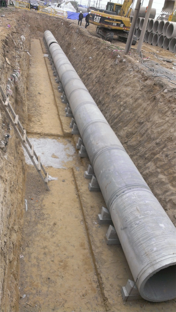 ��ҳ| CA88�����й�Ψһ�ٷ���վ