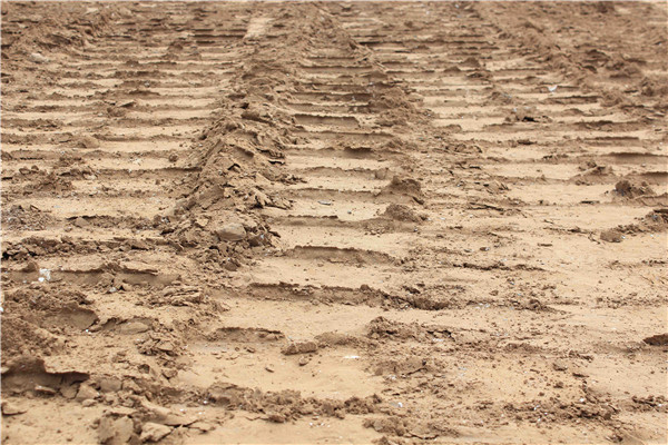 ��ҳ| CA88�����й�Ψһ�ٷ���վ